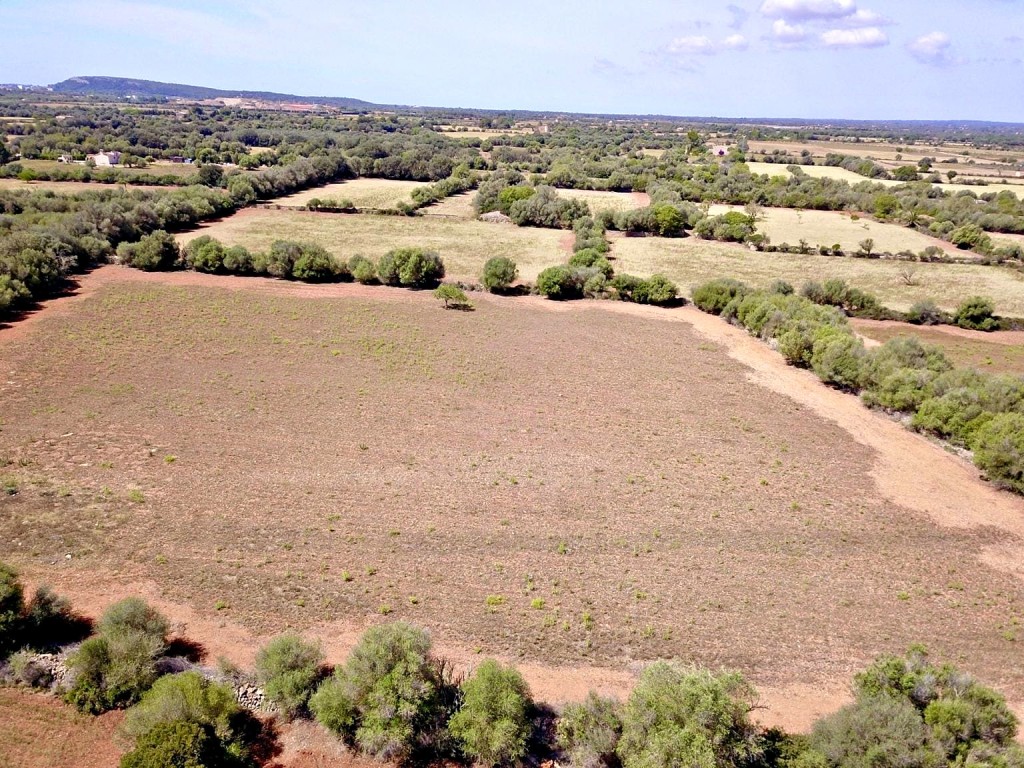 Imagen 4 de Solar residencial en Venta en Felanitx Baleares