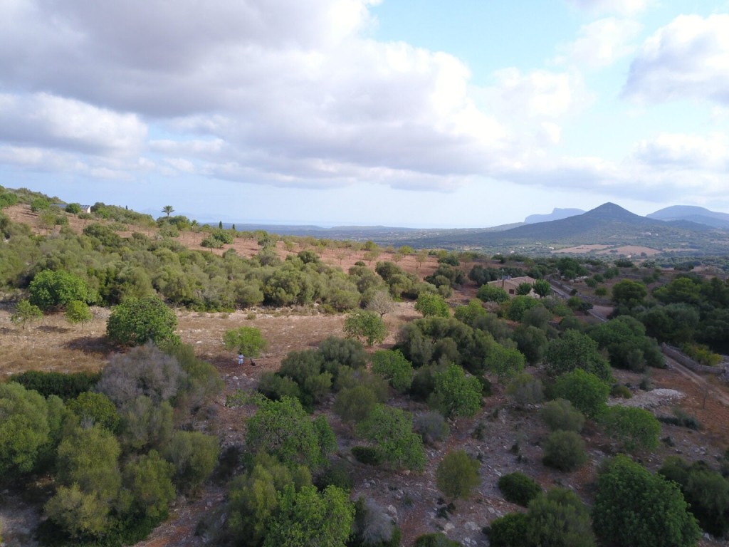 Imagen 3 de Solar residencial en Venta en Manacor Baleares
