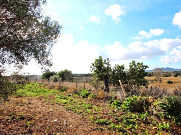 Imagen 3 de Casa de campo-Masía en Venta en Manacor Baleares
