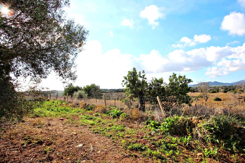 Imagen 3 de Casa de campo-Masía en Venta en Manacor Baleares