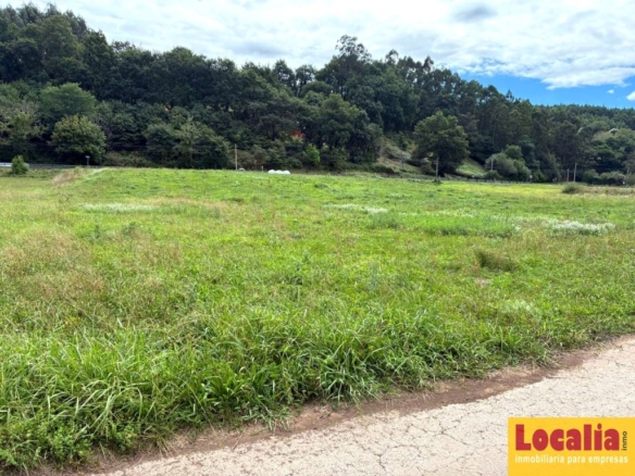 Imagen 3 de TERRENO RÚSTICO DE 4.743 m² EN PIÉLAGOS