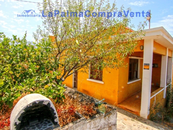 Imagen 1 de Casa-Chalet en Venta en Paso