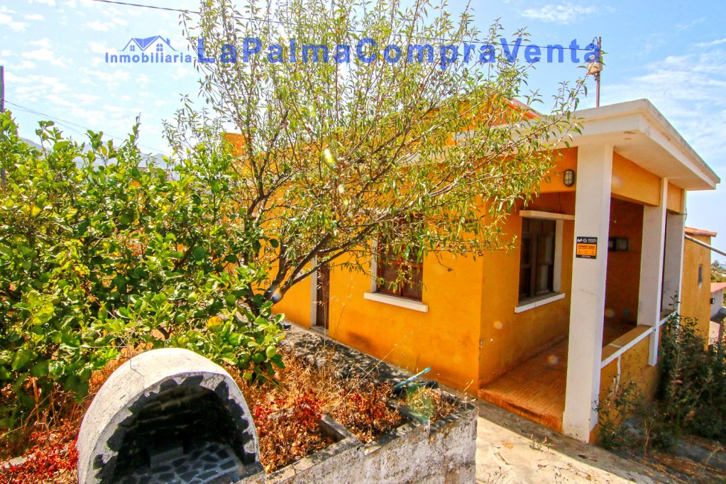 Imagen 1 de Casa-Chalet en Venta en Paso