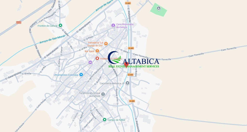 Imagen 4 de Casa-Chalet en Venta en Cañizal Zamora