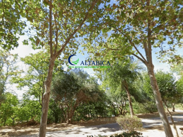 Imagen 3 de Piso en Venta en Velilla De San Antonio Madrid