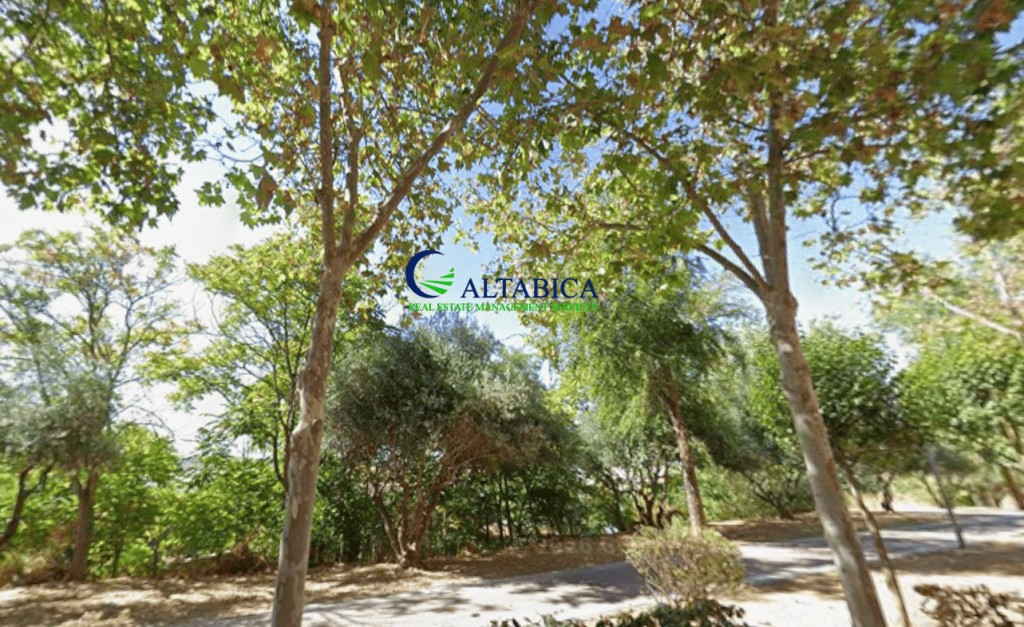 Imagen 3 de Piso en Venta en Velilla De San Antonio Madrid
