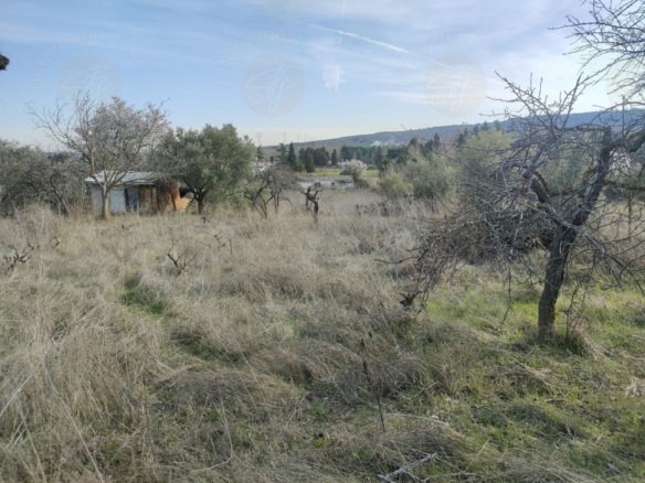 Imagen 2 de Parcela en Venta en Torrelaguna Madrid