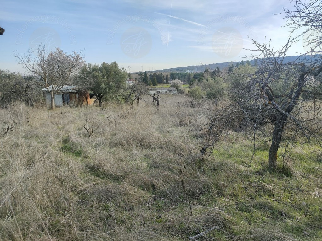 Imagen 2 de Parcela en Venta en Torrelaguna Madrid