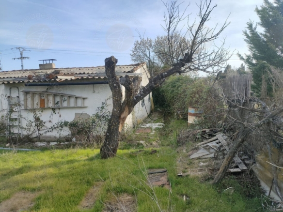 Imagen 3 de Parcela en Venta en Torrelaguna Madrid