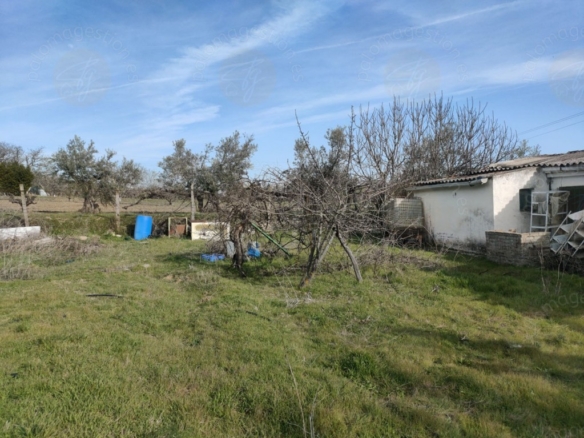 Imagen 4 de Parcela en Venta en Torrelaguna Madrid