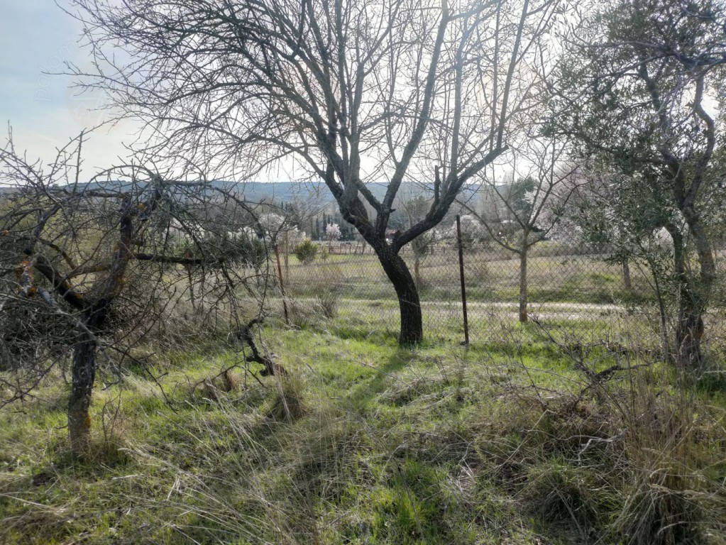 Imagen 1 de Parcela en Venta en Torrelaguna Madrid