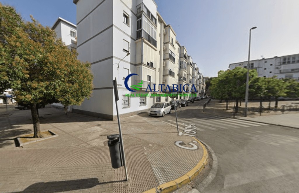 El Cádiz