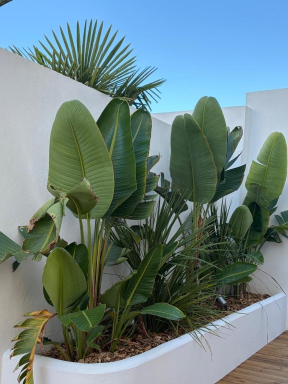 Imagen 4 de Villa de arquitecto de excepción en Empuriabrava