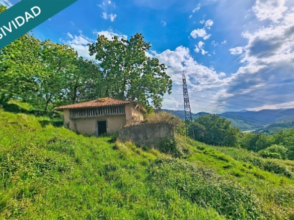 Imagen 1 de Más de una hectárea de Asturias