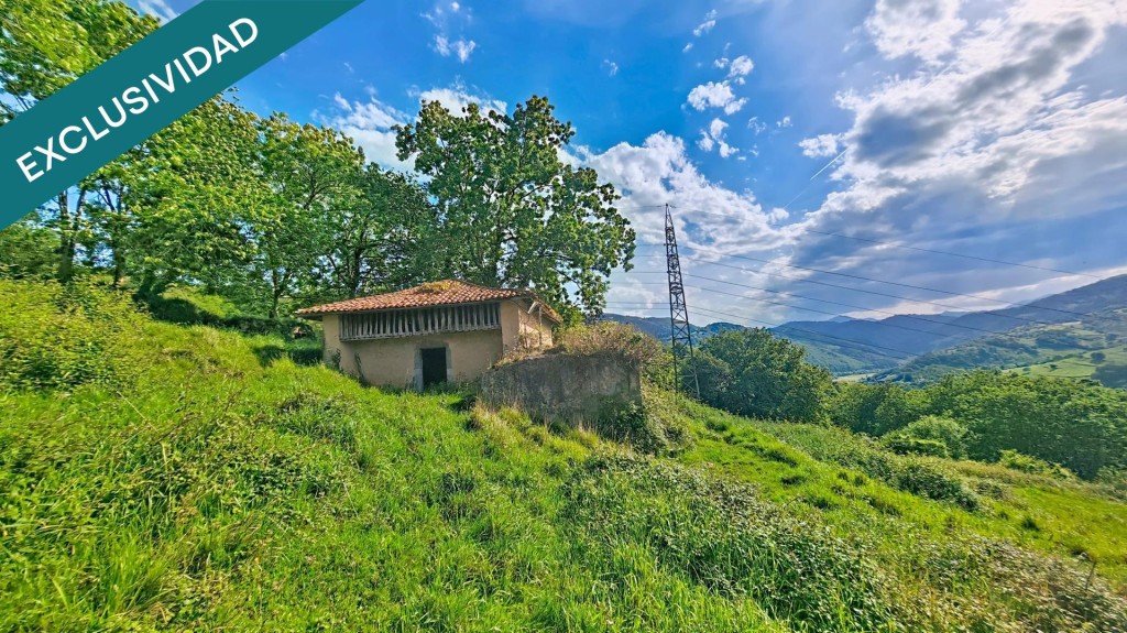 Imagen 1 de Más de una hectárea de Asturias