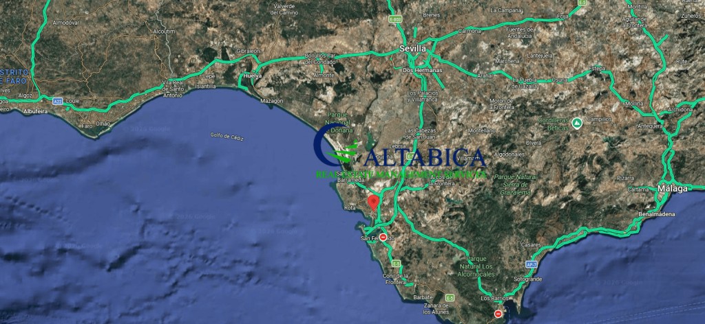 El Cádiz