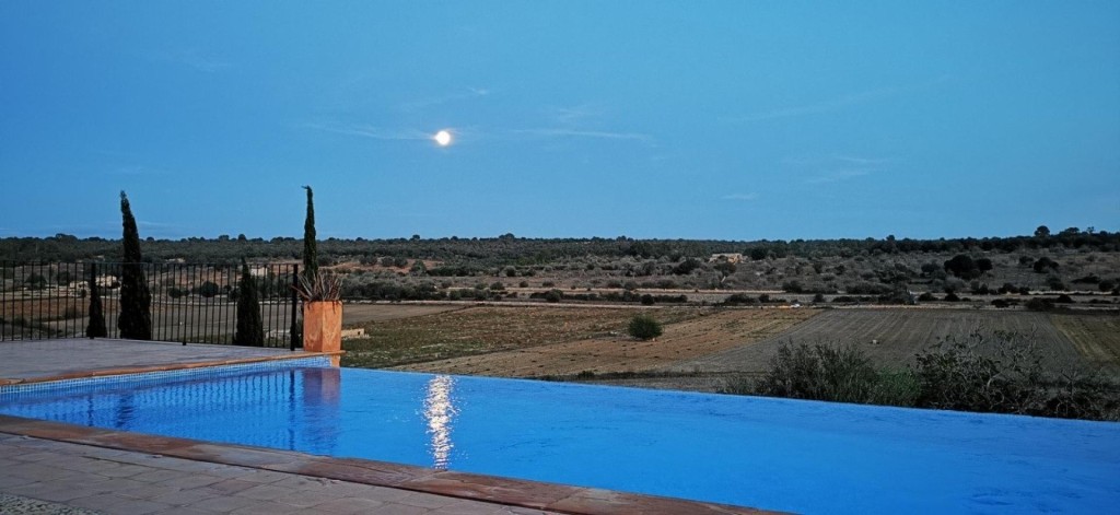 Imagen 3 de FINCA RUSTICA EN PARAJE DE PELÍCULA