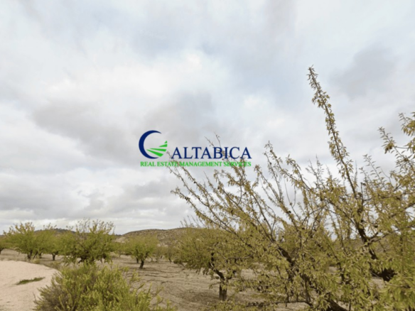 Imagen 3 de Parcela en Venta en Barqueros Murcia