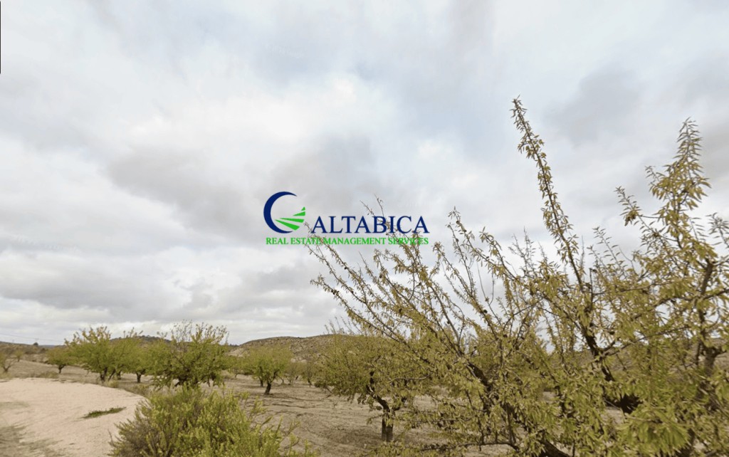 Imagen 3 de Parcela en Venta en Barqueros Murcia