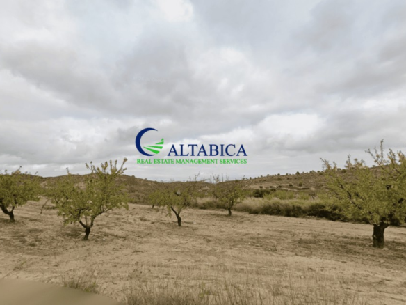 Imagen 1 de Parcela en Venta en Barqueros Murcia