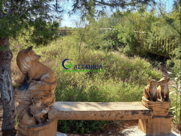 Imagen 3 de Casa-Chalet en Venta en Quesada Jaén