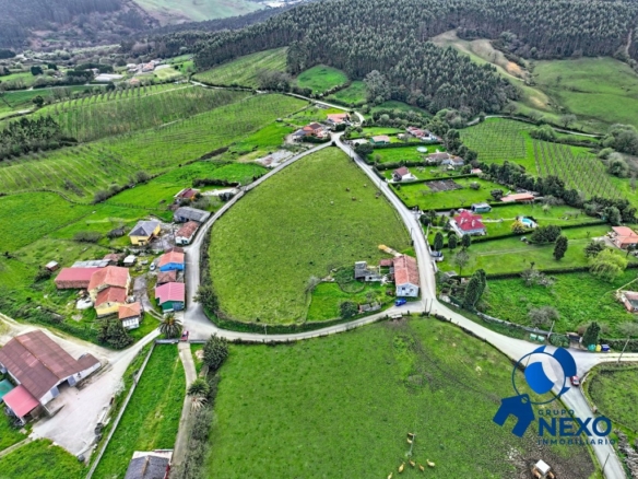 Imagen 1 de FINCA EDIFICABLE Y PARCELABLE EN EL GALLINAL | VISTAS AL VALLE