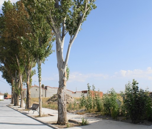 El Ávila