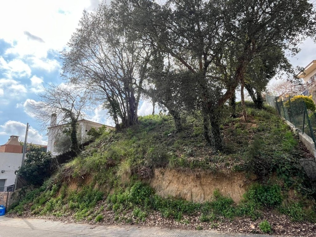 Imagen 4 de tu futura casa en sant daniel!