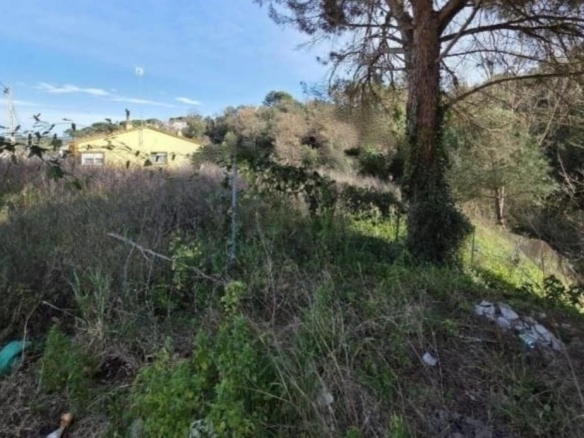 Imagen 3 de ¡Construye la casa de tus sueños en Àgora Park