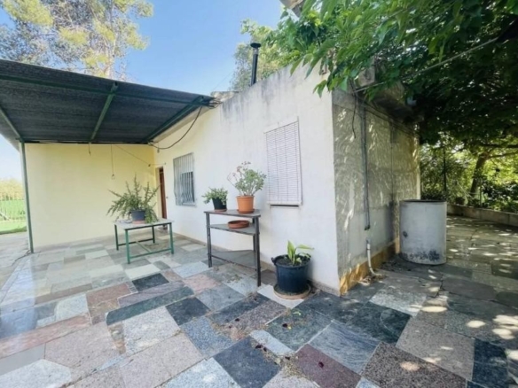 Imagen 1 de Finca rústica en venta en Calle Campo de Arriba