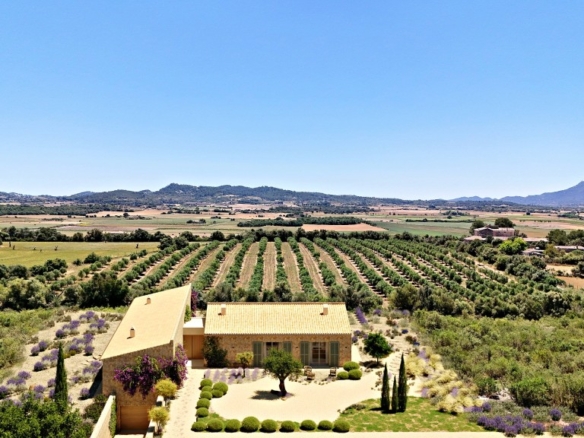 Imagen 3 de Casa de campo-Masía en Venta en Manacor Baleares