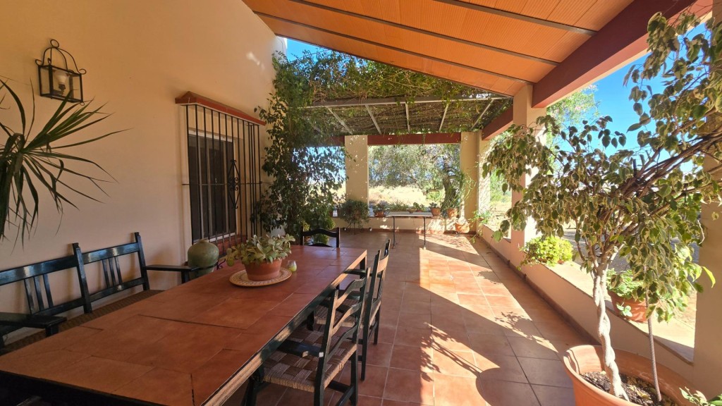 Imagen 2 de Magnífica casa de campo con piscina y vistas a Moguer