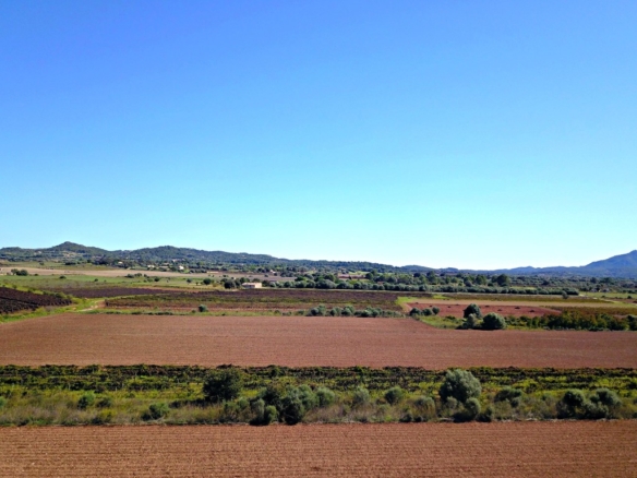 Imagen 2 de Solar residencial en Venta en Felanitx Baleares