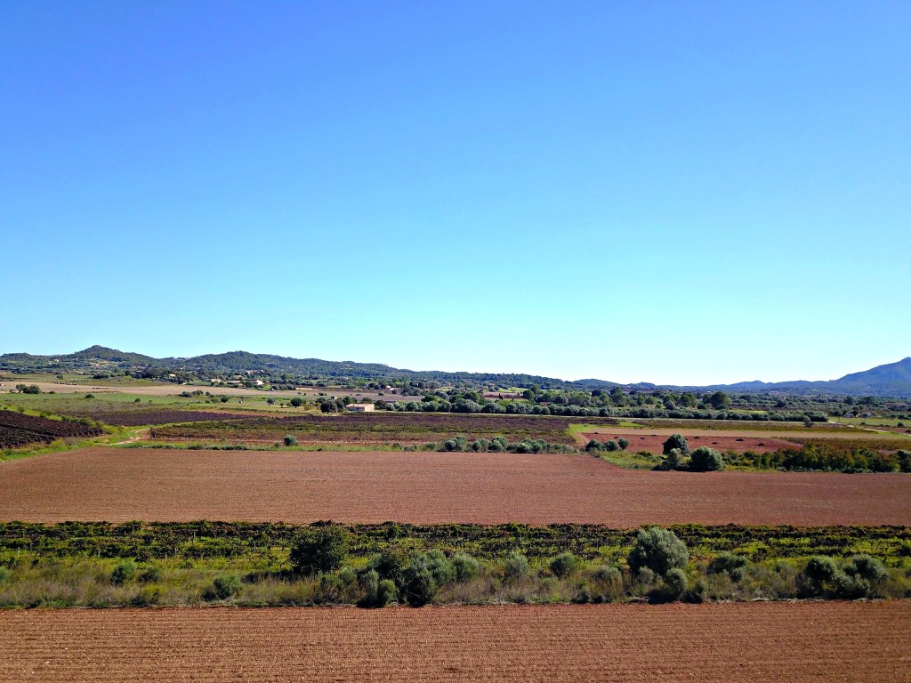 Imagen 2 de Solar residencial en Venta en Felanitx Baleares