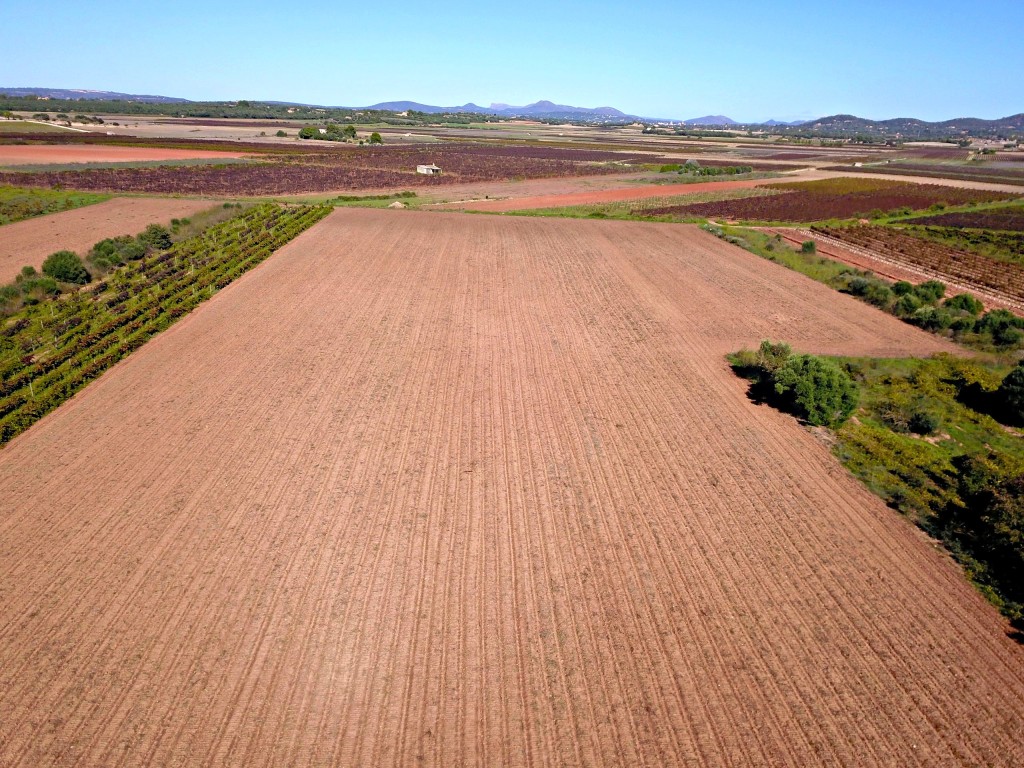 Imagen 3 de Solar residencial en Venta en Felanitx Baleares