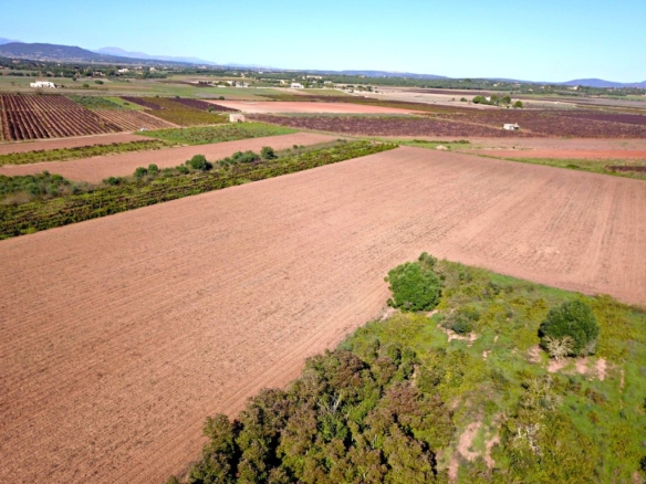 Imagen 4 de Solar residencial en Venta en Felanitx Baleares