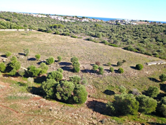 Imagen 4 de Solar residencial en Venta en Manacor Baleares