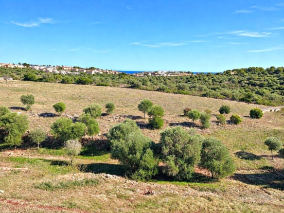 Imagen 1 de Solar residencial en Venta en Manacor Baleares