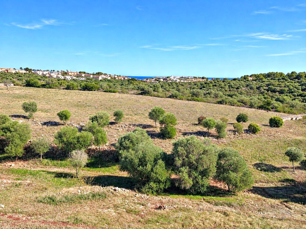 Imagen 1 de Solar residencial en Venta en Manacor Baleares