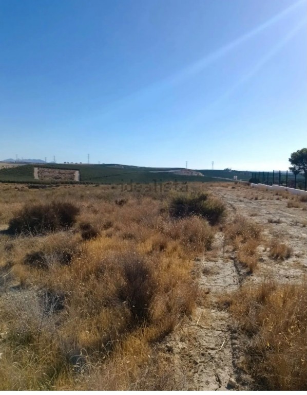 Imagen 2 de Suelo rústico en Venta en Vera Almería