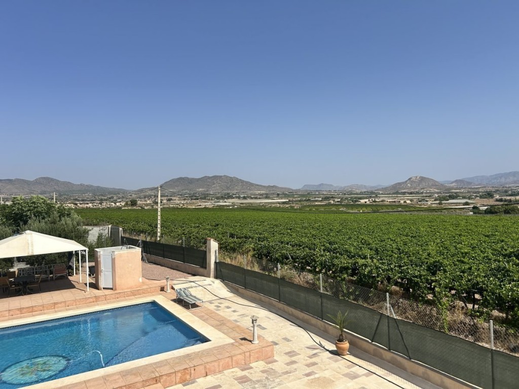 Imagen 3 de Casa-Chalet en Venta en Aspe Alicante