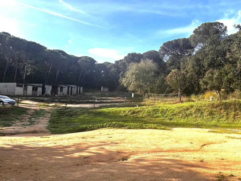 Maçanet de la selva