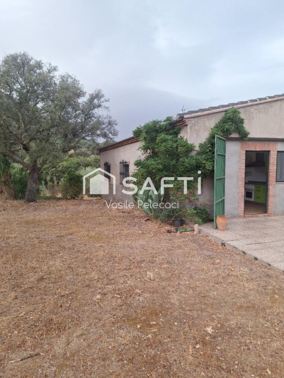 Imagen 1 de Finca rústica en venta en Sierra de Mampar s/n