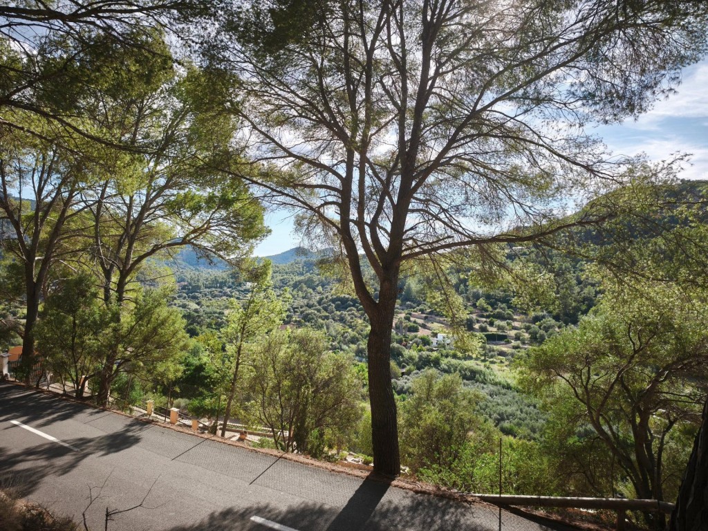 Imagen 2 de Un rincón de la Serra de Tramuntana