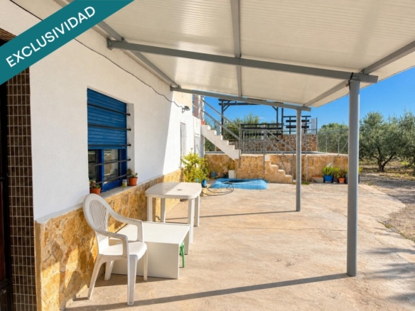 con piscina y olivar en producción.