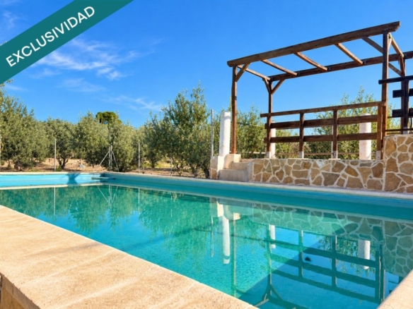 con piscina y olivar en producción.