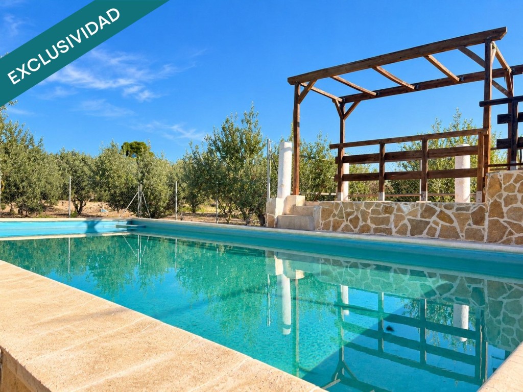 con piscina y olivar en producción.