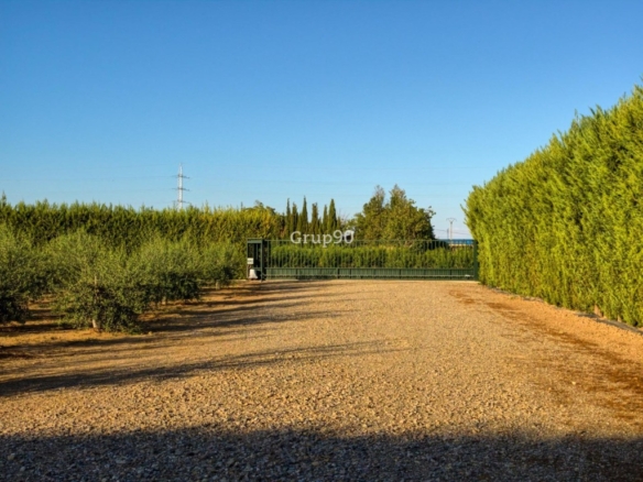 Imagen 2 de FINCA DE 7.500 m2 CON 200 OLIVOS Y ALMACÉN DE 123 m2 EN PARTIDA RUFEA – ¡A SOLO 5 MINUTOS DE LLEIDA!