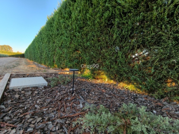 Imagen 3 de FINCA DE 7.500 m2 CON 200 OLIVOS Y ALMACÉN DE 123 m2 EN PARTIDA RUFEA – ¡A SOLO 5 MINUTOS DE LLEIDA!