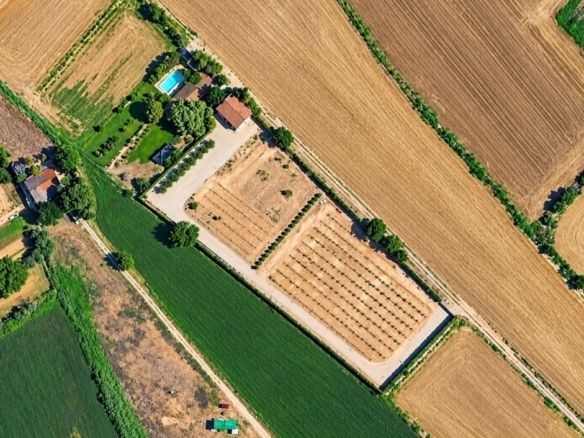 Imagen 1 de FINCA DE 7.500 m2 CON 200 OLIVOS Y ALMACÉN DE 123 m2 EN PARTIDA RUFEA – ¡A SOLO 5 MINUTOS DE LLEIDA!